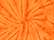 Spider Orange Spider Orange