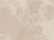 Beige Beige